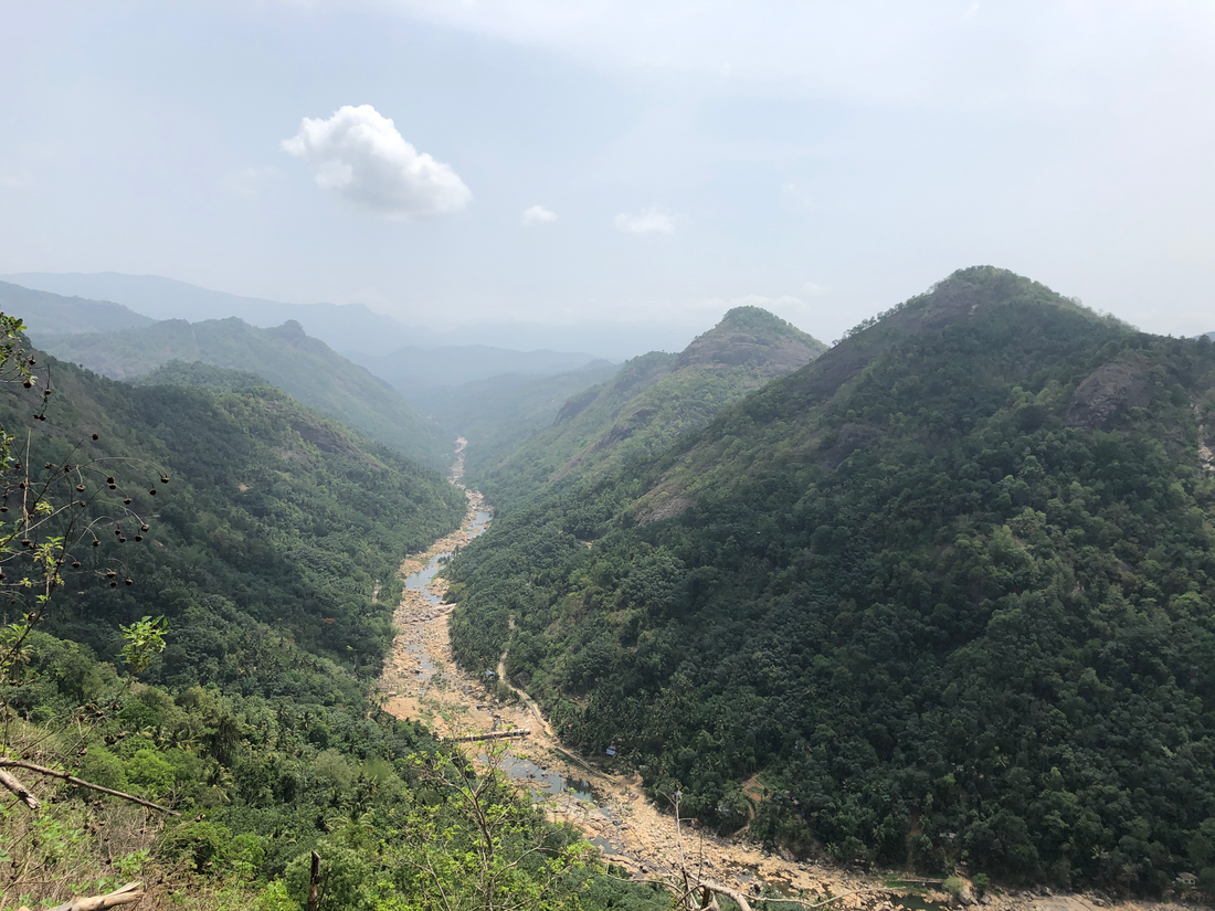 Kerala’s Finest Spices: Where Origin, Purity, and Flavor Converge